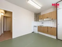 Prodej bytu 1+1, Mladá Boleslav - Mladá Boleslav II, Palackého, 41 m2