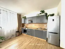 Pronájem bytu 2+kk, Ústí nad Labem - Ústí nad Labem-centrum, Velká Hradební, 52 m2