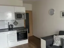 Pronájem bytu 2+kk, Pardubice, Milheimova, 48 m2