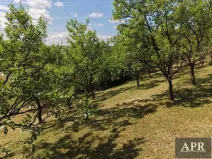 Prodej zahrady, Prakšice, 2596 m2