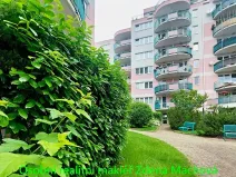 Pronájem bytu 2+kk, Praha - Strašnice, Gutova, 55 m2