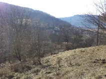 Dražba zahrady, Trmice, 640 m2