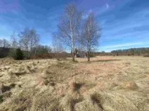 Prodej pole, Aš - Nový Žďár, 3300 m2
