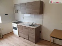 Pronájem bytu 1+1, Děčín - Děčín III-Staré Město, Březová, 32 m2
