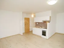 Pronájem bytu 1+kk, Praha - Karlín, Nekvasilova, 27 m2