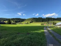 Prodej pozemku pro bydlení, Velké Karlovice, 17000 m2