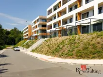 Pronájem bytu 1+kk, Plzeň - Východní Předměstí, Kartónová, 35 m2