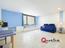 Prodej bytu 1+kk, Praha - Michle, U michelského mlýna, 40 m2