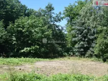 Prodej pozemku pro bydlení, Loukovec, 909 m2
