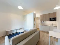 Pronájem bytu 1+kk, Praha - Holešovice, Milady Horákové, 30 m2