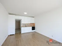 Pronájem bytu 1+kk, Plzeň - Jižní Předměstí, Železná, 31 m2