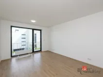 Pronájem bytu 1+kk, Plzeň - Jižní Předměstí, Železná, 31 m2