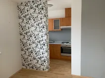 Pronájem bytu 1+1, Brno, Lučiny, 30 m2
