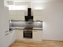 Pronájem bytu 1+kk, Plzeň, Nemocniční, 29 m2