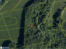 Prodej lesa, Životice u Nového Jičína, 12739 m2