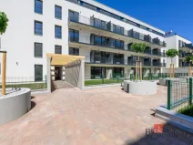 Pronájem bytu 1+kk, Plzeň - Jižní Předměstí, Železná, 29 m2