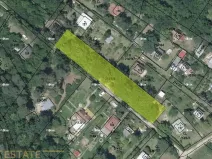 Prodej lesa, Prostějovičky, 1251 m2