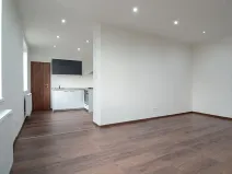 Pronájem bytu 1+kk, Ostrava, Hasičská, 40 m2