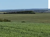 Prodej pole, Polepy, 9461 m2
