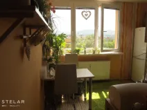 Prodej bytu 1+1, Frýdek-Místek - Frýdek, El. Krásnohorské, 37 m2