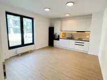 Pronájem bytu 1+kk, Plzeň - Jižní Předměstí, Železná, 37 m2