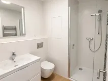 Pronájem bytu 1+kk, Plzeň - Jižní Předměstí, Železná, 37 m2