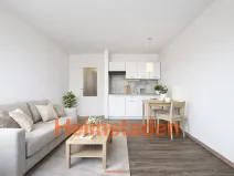 Pronájem bytu 1+kk, Frýdek-Místek - Místek, Československé armády, 24 m2