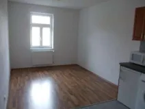 Pronájem bytu 1+kk, Praha - Vysočany, Freyova, 30 m2