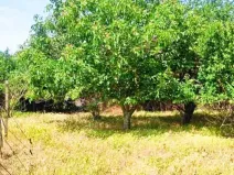 Prodej rodinného domu, Mogilishte, Bulharsko, 170 m2