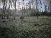 Prodej podílu lesa, Zděchov, 5288 m2