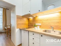 Pronájem bytu 1+kk, Praha - Vyšehrad, Vratislavova, 19 m2