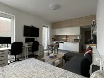 Pronájem bytu 1+kk, Brno - Zábrdovice, Francouzská, 30 m2