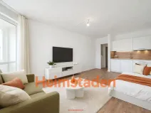 Pronájem bytu 1+kk, Český Těšín, Okružní, 28 m2
