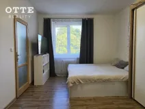 Pronájem bytu 1+1, Plzeň, Klatovská třída, 34 m2