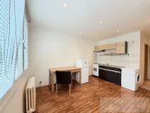 Prodej bytu 1+kk, Plzeň, Luďka Pika, 21 m2