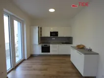 Pronájem bytu 1+kk, Praha, Štěchovická, 40 m2