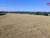 Prodej pozemku pro bydlení, Čimelice, 947 m2