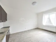 Pronájem bytu 1+kk, Praha - Vršovice, Pod Rapidem, 26 m2
