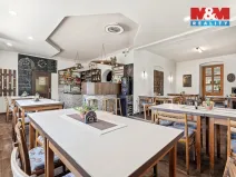 Prodej restaurace, Velké Březno - Valtířov, 350 m2