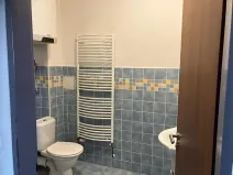 Pronájem bytu 3+kk, Plzeň, 54 m2