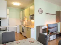 Prodej bytu 3+kk, Liberec - Liberec IV-Perštýn, Lípová, 69 m2