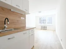 Prodej bytu 2+kk, Most, Františka Malíka, 40 m2