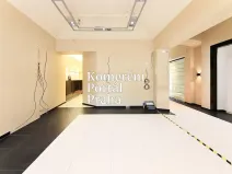 Pronájem restaurace, Praha - Nové Město, Václavské náměstí, 309 m2