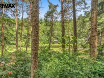 Prodej chaty, Kamenný Přívoz - Hostěradice, 50 m2