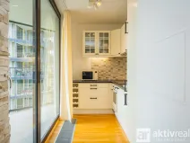 Pronájem bytu 1+kk, Praha - Žižkov, Pitterova, 38 m2