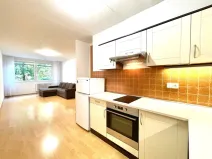 Pronájem bytu 2+kk, Praha - Řepy, Laudova, 49 m2