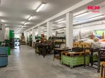 Prodej výrobních prostor, Horní Benešov - Luhy, 803 m2
