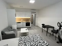 Pronájem bytu 1+kk, Olomouc, Wolkerova, 29 m2
