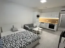 Pronájem bytu 1+kk, Olomouc, Wolkerova, 29 m2