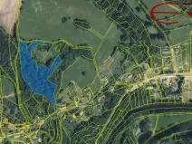 Prodej lesa, Benešov u Semil, 15416 m2